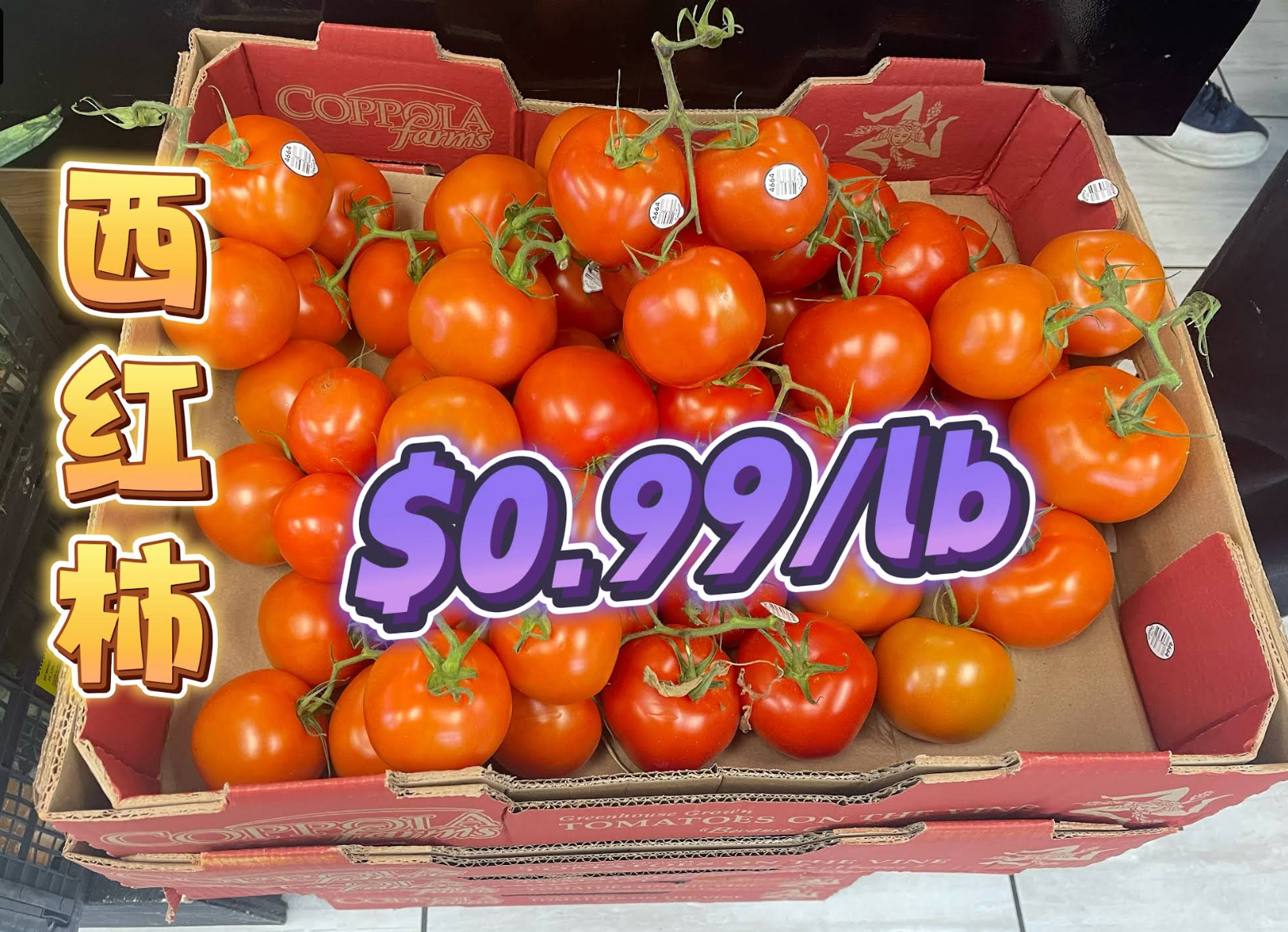 Fresh tomatoes on sale